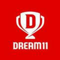 Dream11 T20 Match Gl+Sl Team Provider