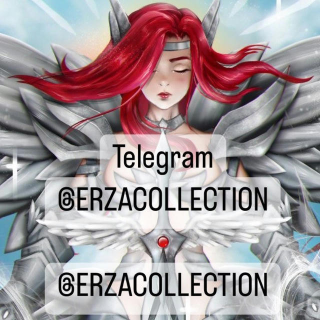 ERZA COLLECTION