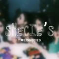 Shecie’s