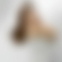 Dormidas y Borrachas - Telegram channel @chicasdormidas0 - Telemetrio