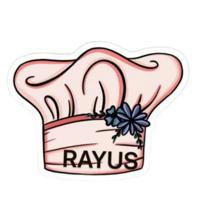 🍮🥗🍝Recetas rayus🍮🥗🍝