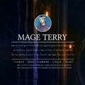 Mage The Socerer Adventure, TERRY.