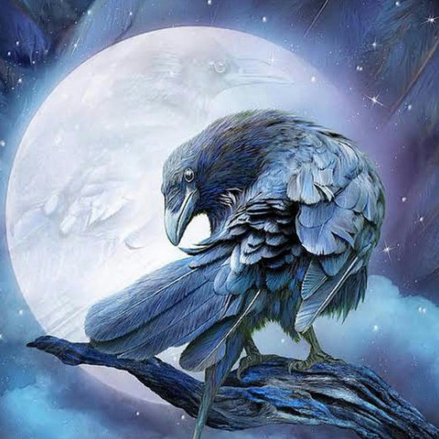 Kripto Crow
