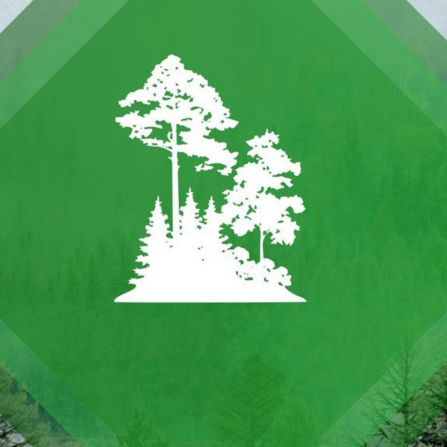 Министерство лесного хозяйства и лесопереработки Хабаровского края