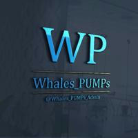 🔔 Whales_Pumps 🔔