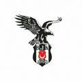 Beşiktaş Taraftar Kulübü | Spor