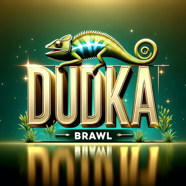 Dudka Brawl