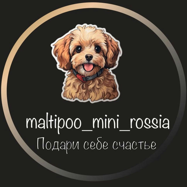 МАЛЬТИПУ/MALTIPOO Москва