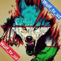 Wolf_tv_uz🐺