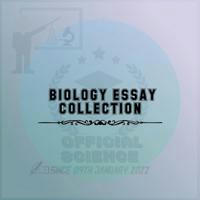Biology Essay Channel