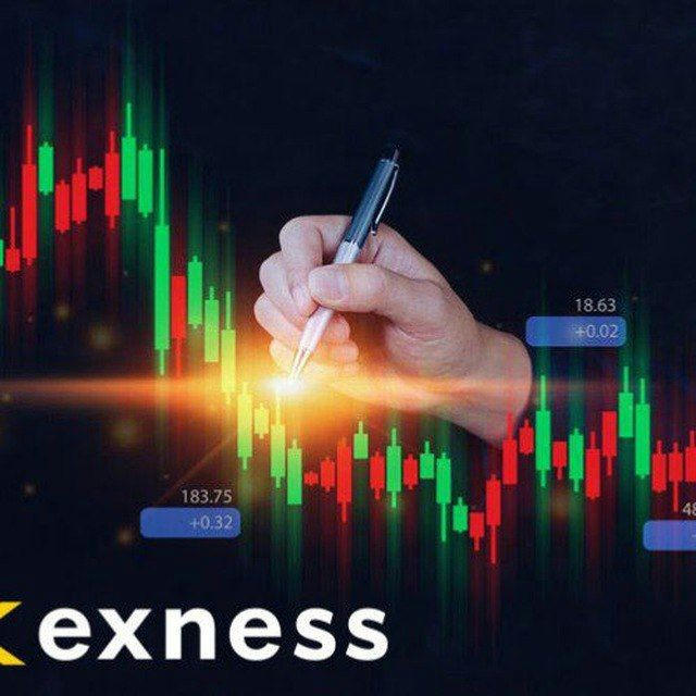 EXNEES FREE SIGNALS