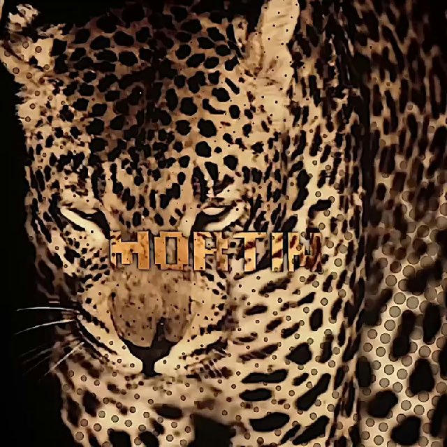 mortin - never die🐆