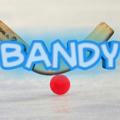 BANDY - хоккей с мячом 🏑