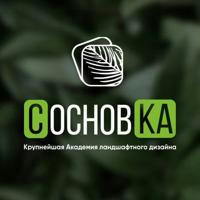 Школа СосновКа