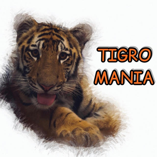 ТигроМания / Tigromania