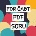 PDR ÖABT PDF-SORU