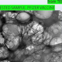 Toxins, Magnetic Beads, Graphene And Other Hidden Dangers In The C19 Vials?