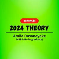 2024 echem | Amila Dasanayake