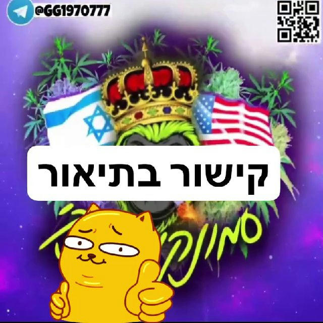 חממה נהריה עכו כרמיאל