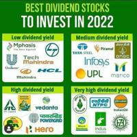 Best Investment Stocks (Share Market)