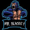 MR BLACKEY MOD