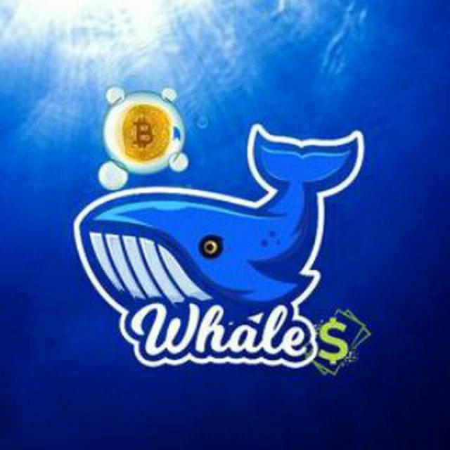 Whales Crypto 🐋💰