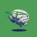 Хайлайтер мозку | Психологія