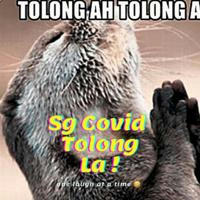 SG 🇸🇬 Covid TOLONG la! 😂