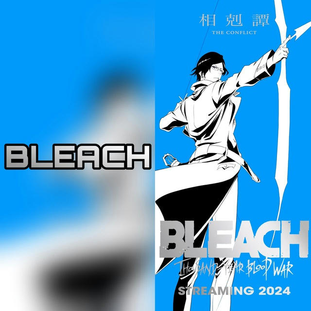 Bleach Dub Sub