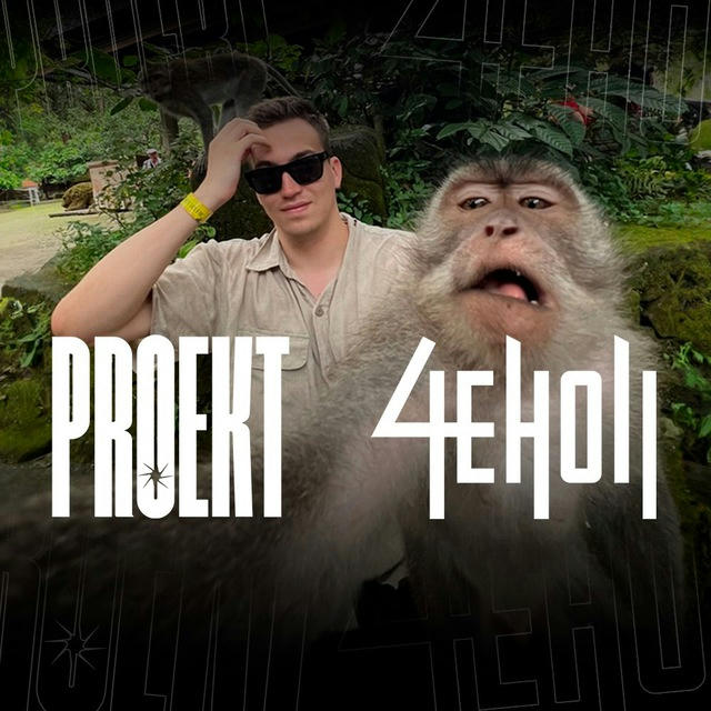 Чехол | PROEKT | 4eholl