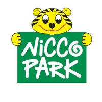 Nicco park Discount passes