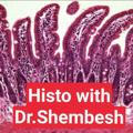 Histology د. محمد شمبش دفعة 48 سنة تانيه طب بشري