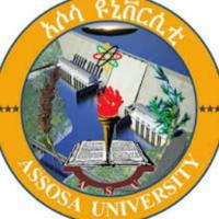 Assosa University