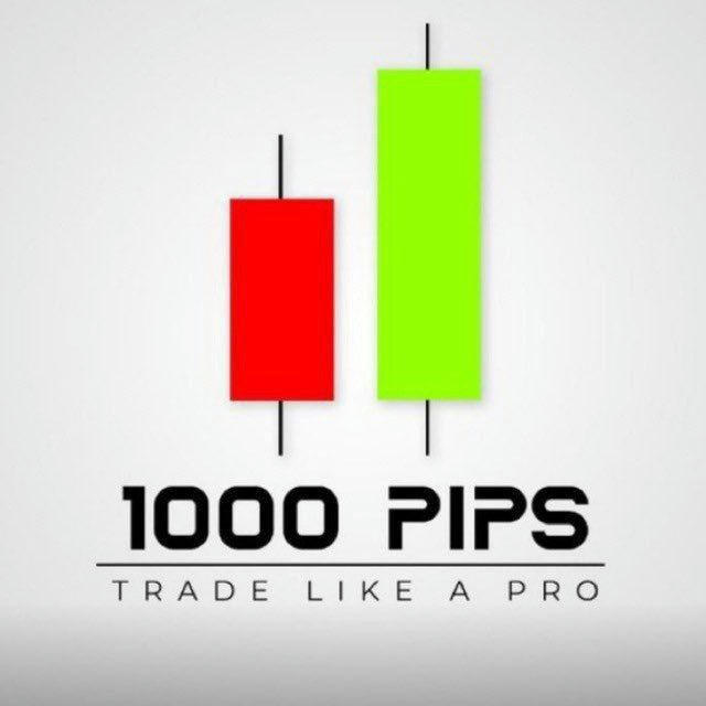 1000pips Builder (Free signals)