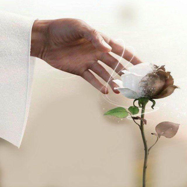 🕋 𝔻𝕀̇ℕ𝕀̇ ℙ𝔸𝕐𝕃𝔸Ş𝕀𝕄𝕃𝔸ℝ 🕋