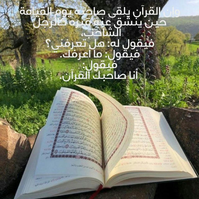 صاحبك القرآن
