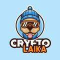 Crypto Laika Official Announcements