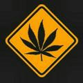 Cannabis Armenia Channel