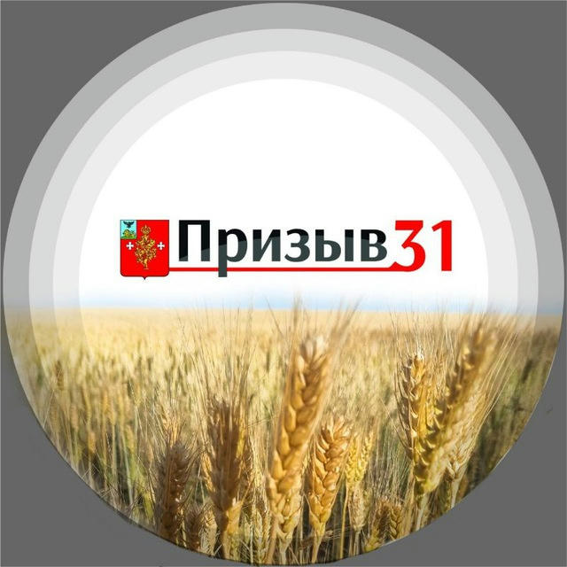 Призыв31 - самое интересное в Борисовке и районе