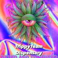 TrippyTeam