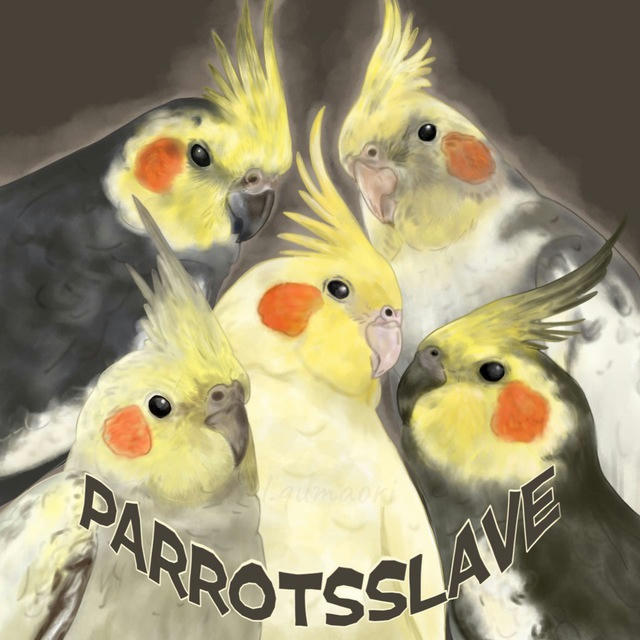 🌾Parrot's slave🪵