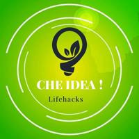 Che idea 🌿 Quale idea 💡Life Hacks 💡