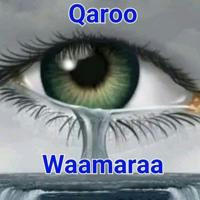 Qaroo Waamaraa