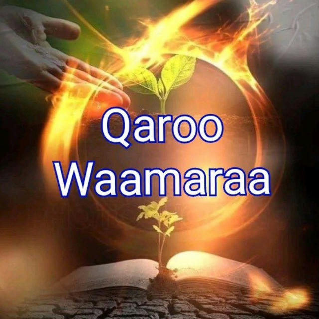 Qaroo Waamaraa