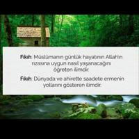 İᴸᴹᴵᴴᴬᴸ