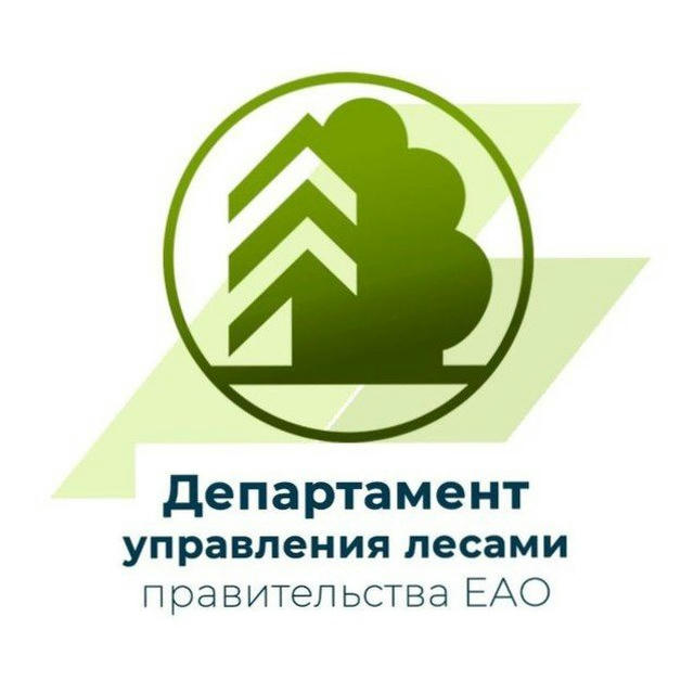 Департамент управления лесами Правительства Еврейской автономной области