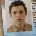 tom holland