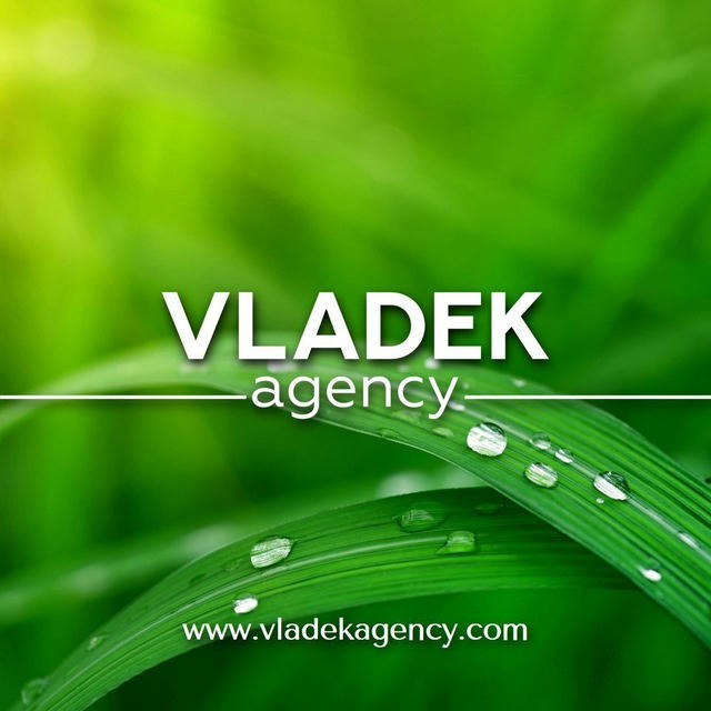 Svetlana Vladek “Vladek Agency”