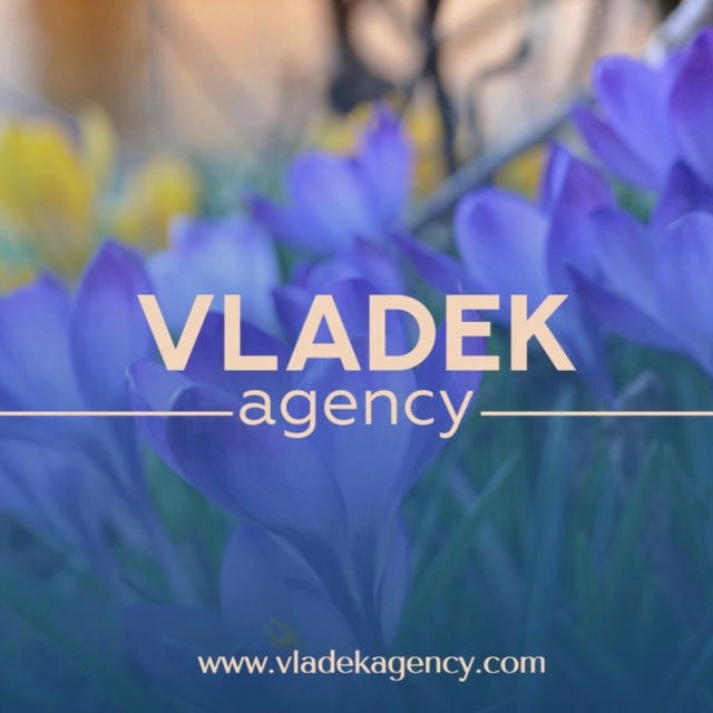 Svetlana Vladek “Vladek Agency”