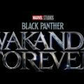 BLACK PANTHER WAKANDA FOREVER 2022 SUB INDO HD
